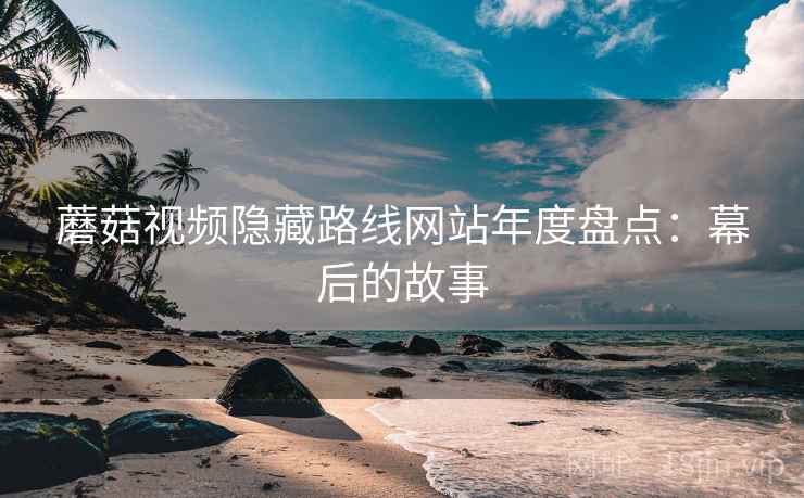 蘑菇视频隐藏路线网站年度盘点:幕后的故事