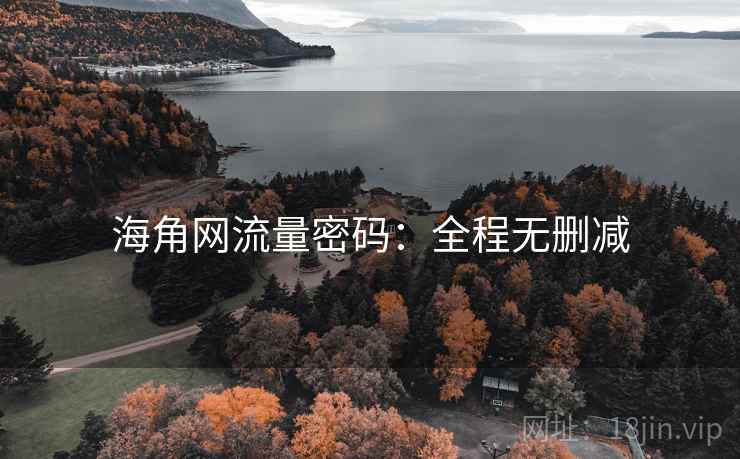 海角网流量密码:全程无删减