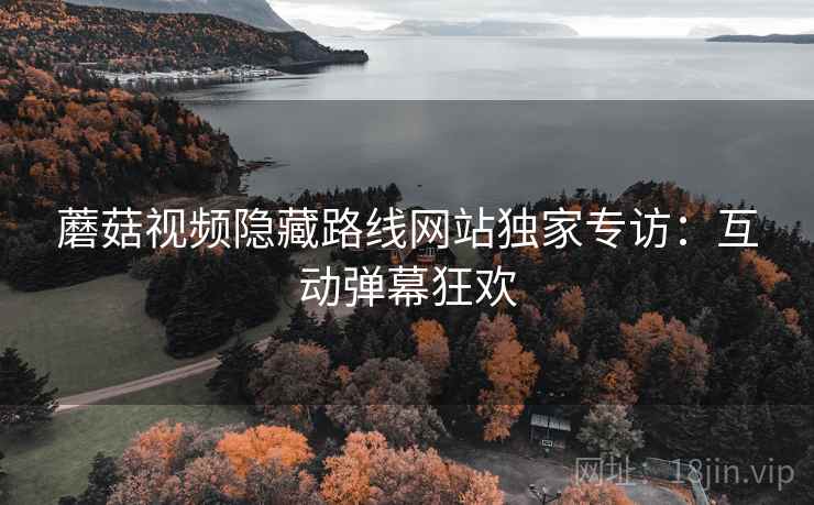 蘑菇视频隐藏路线网站独家专访:互动弹幕狂欢